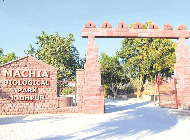 Machia bio park